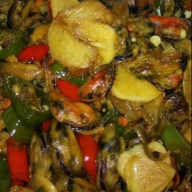

Kerang pelangi
