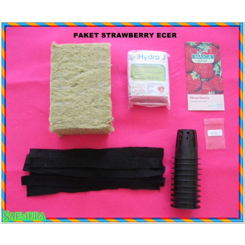 

Paket Hydroponik / Hidroponik Strawberry Ecer