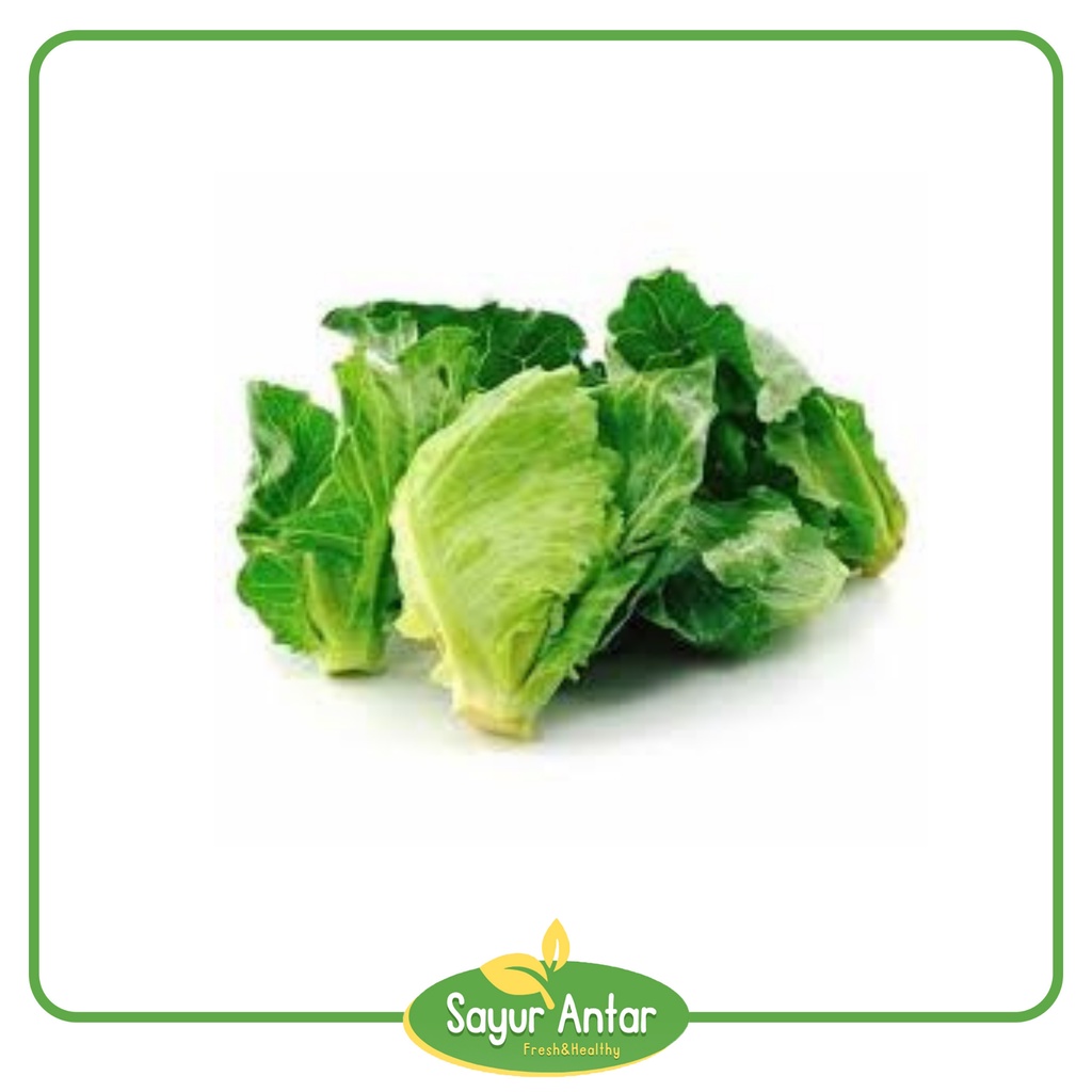 

Daun Keciwis 500 gr | Sayur.Antar | Free Ongkir Bandung Cimahi