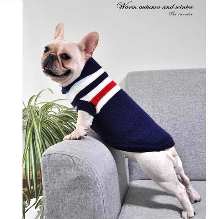 sweater anjing kecil / sweater kucing / baju anjing / baju kucing