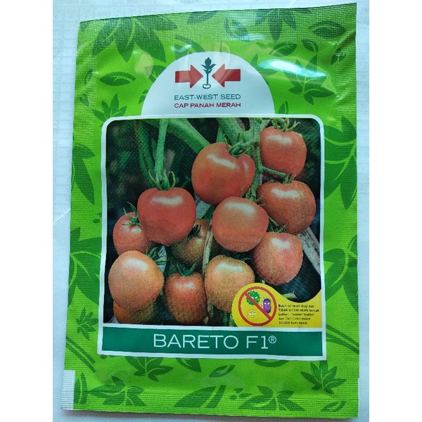TOMAT BUAH BARETO F1 isi 1750 Butir