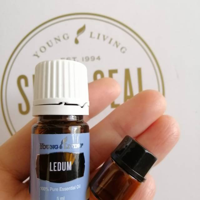 Ledum Essential Oil Repack 2ml