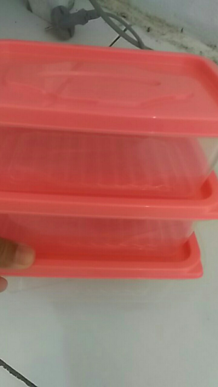 Kotak Makan Victory Food Box 500ml Clear 2 Set Lebih Hemat - Red