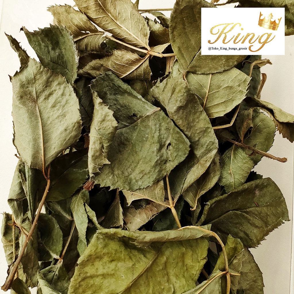 Dried Rose Leaf Daun Bunga Mawar Kering Asli Impor Dekorasi Hias