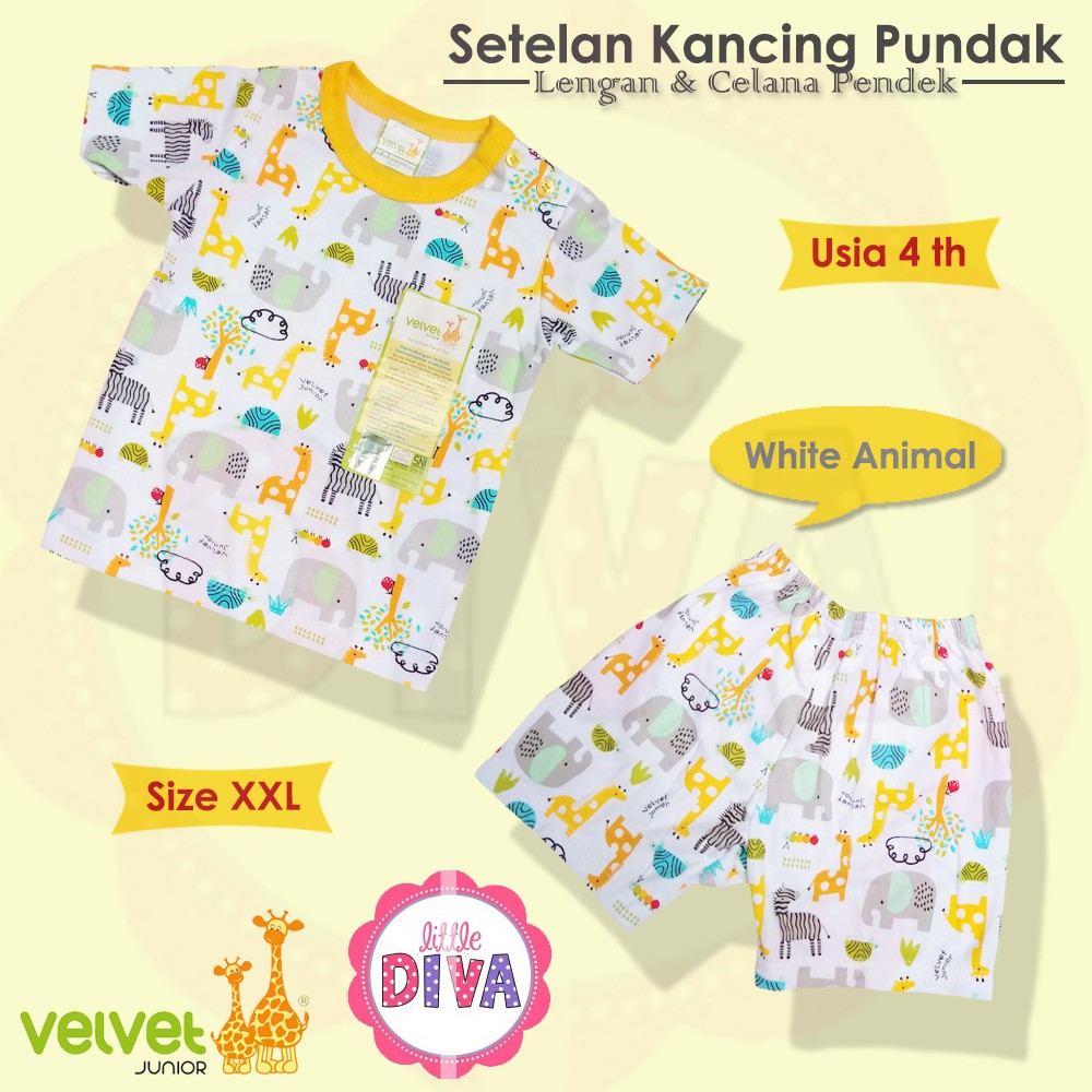 Setelan VELVET Pundak Sz M L XXL Kancing Oblong PUNDAK Lengan PENDEK &amp; Celana Pendek