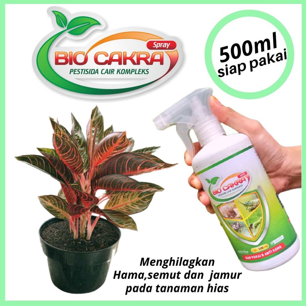 BIO CAKRA Pestisida Organik Spray Siap Pakai 500ml Untuk Tanaman Bunga Aglonema