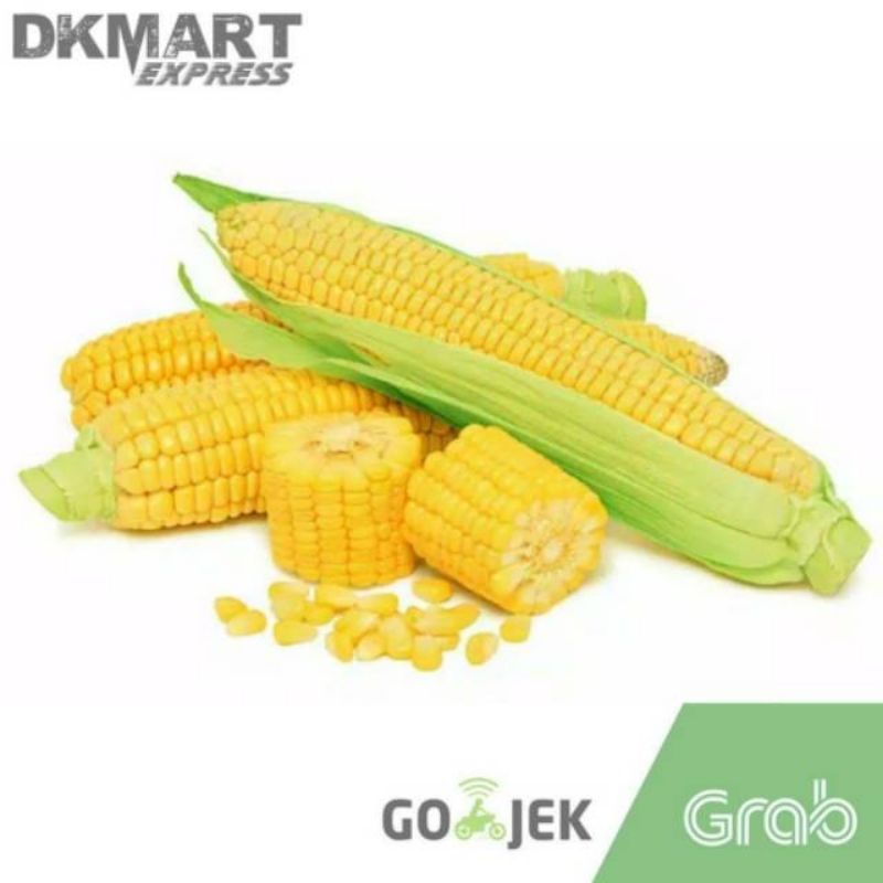 jagung manis segar 1 biji