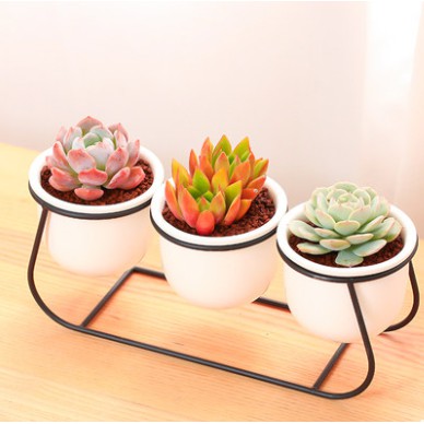 Pot Bunga Keramik Simple Kreatif Dengan Frame Besi Untuk Meja