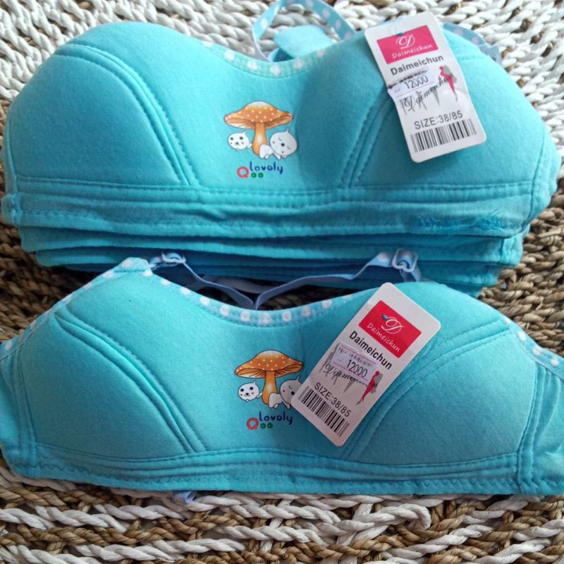 BH ANAK TANGGUNG/BH ABG