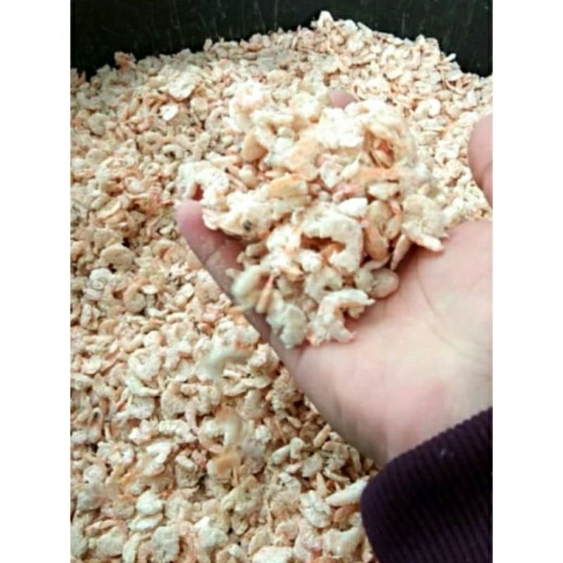 

udang kering / ebi (pipih)