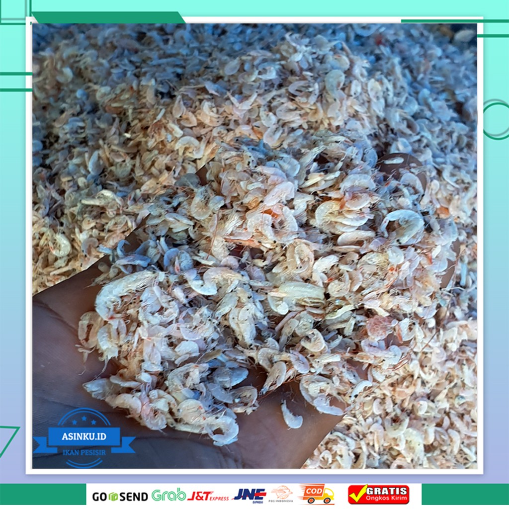 

UDANG REBON ASIN 1KG | UDANG KECEPE | UDANG KERING 1 KG | MAKANAN KERING TERMURAH