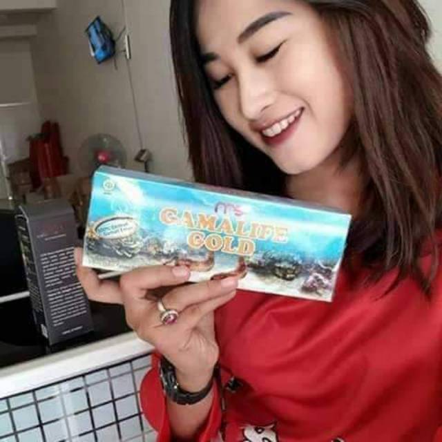 MSI GAMALIFE GOLD /GAMAT TERIPANG MAS