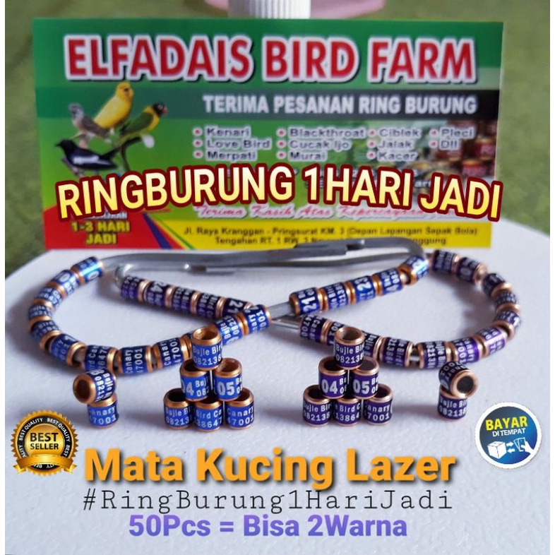 RingBurung 1Hari Jadi MK Lazer MataKucing 2Paket 50pcs 2 - 5 Warna CincinBurung Pengerjaan Cepat Bisa 50Pcs 2-5 Warna