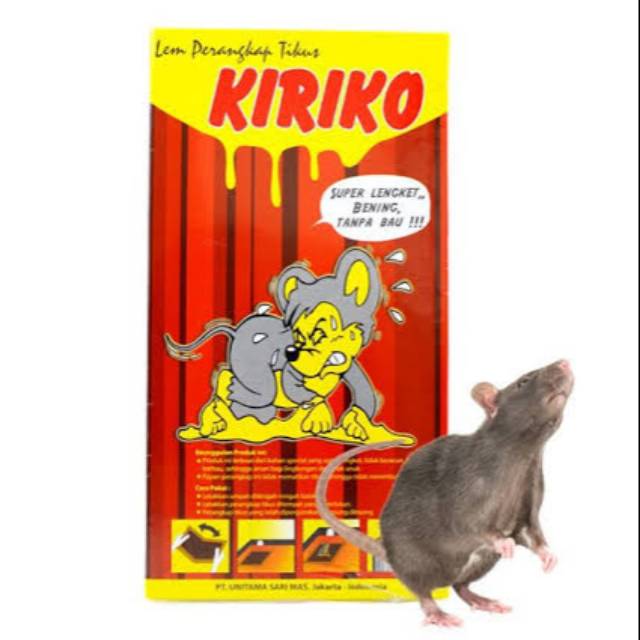 

KIRIKO LEM PERANGKAT TIKUS BOX