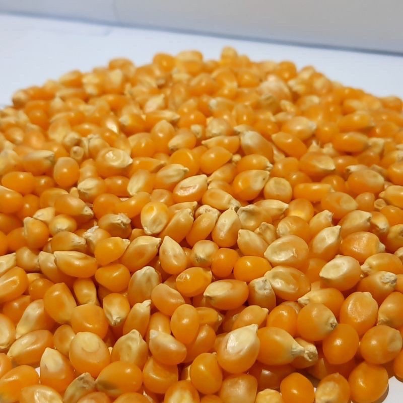 

popcorn jagung mentah 500gram Bandung terlaris termurah