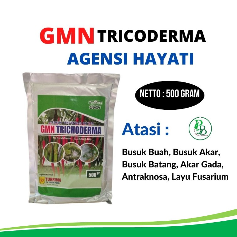 Pupuk Obat Anti Layu dan Anti Moler Pada Kentang