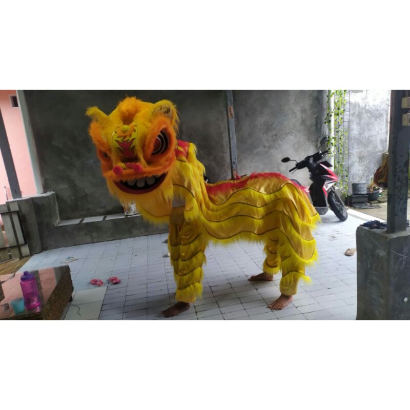 Barongsai ukuran 60x50x45 cm sayap 2 meter