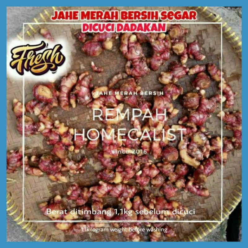 Jahe Merah Bersih 1kg dicuci dadakan / jahe merah segar / Jahe Merah Asli / Jahe Merah Fresh