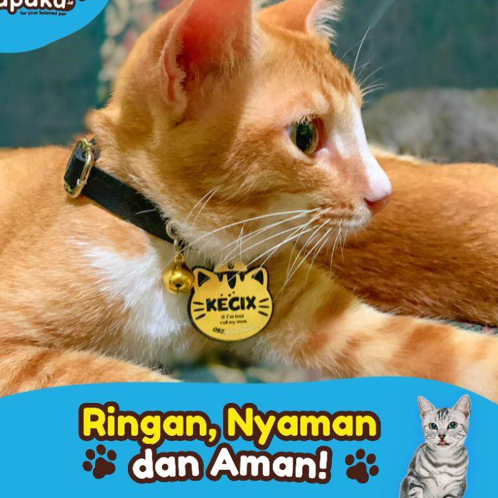 《ROSTER》 K051 - Kalung Nama Custom Kucing Anjing Lucu Ukir Identitas Pemilik Alamat Nomor HP Aksesor