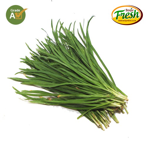 

Daun Kucai