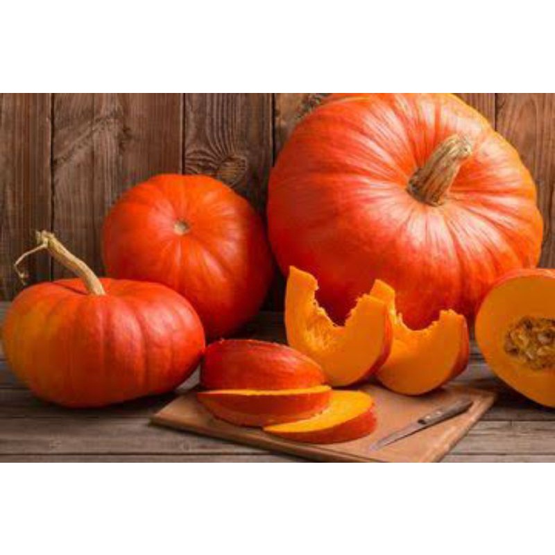 5 Benih Waluh Labu Madu Jepang