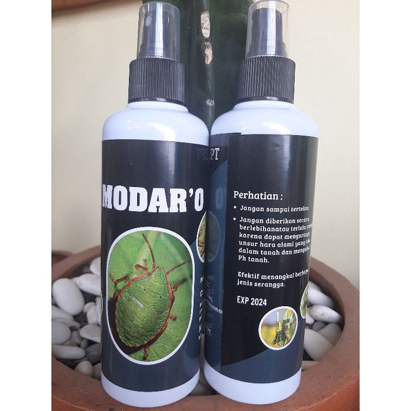 Insektisida Hama Ulat Siap Pakai ModarO 250ml