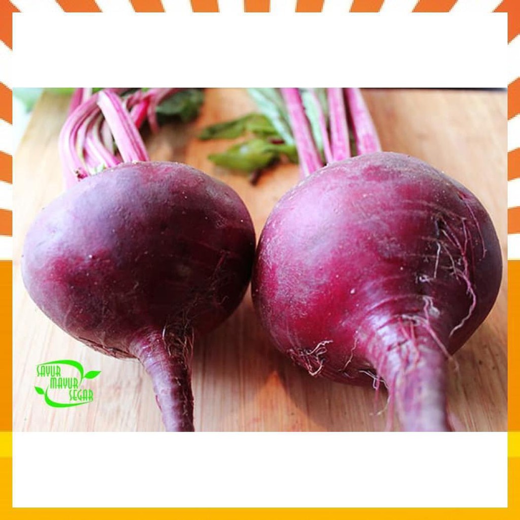 

BUAH BIT / BEET ROOT FRESH UNTUK KESEHATAN