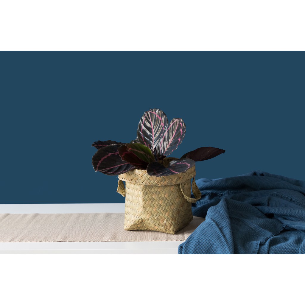 

Dekornata Adelia Cover Pot / Purun / Tempat Tanaman / Cover Pot