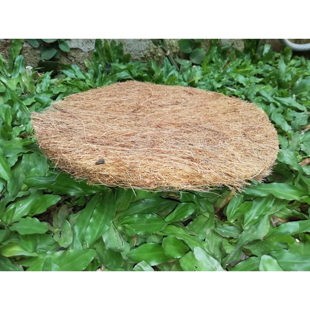 Alas Sarang Burung Merpati - Cocofiber - lovebird - kenari