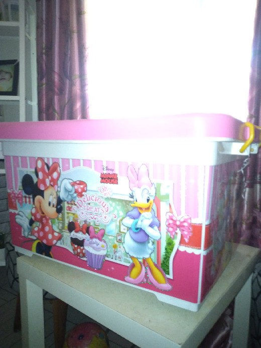 Box Serbaguna Penyimpanan Minnie 3095  Mnp