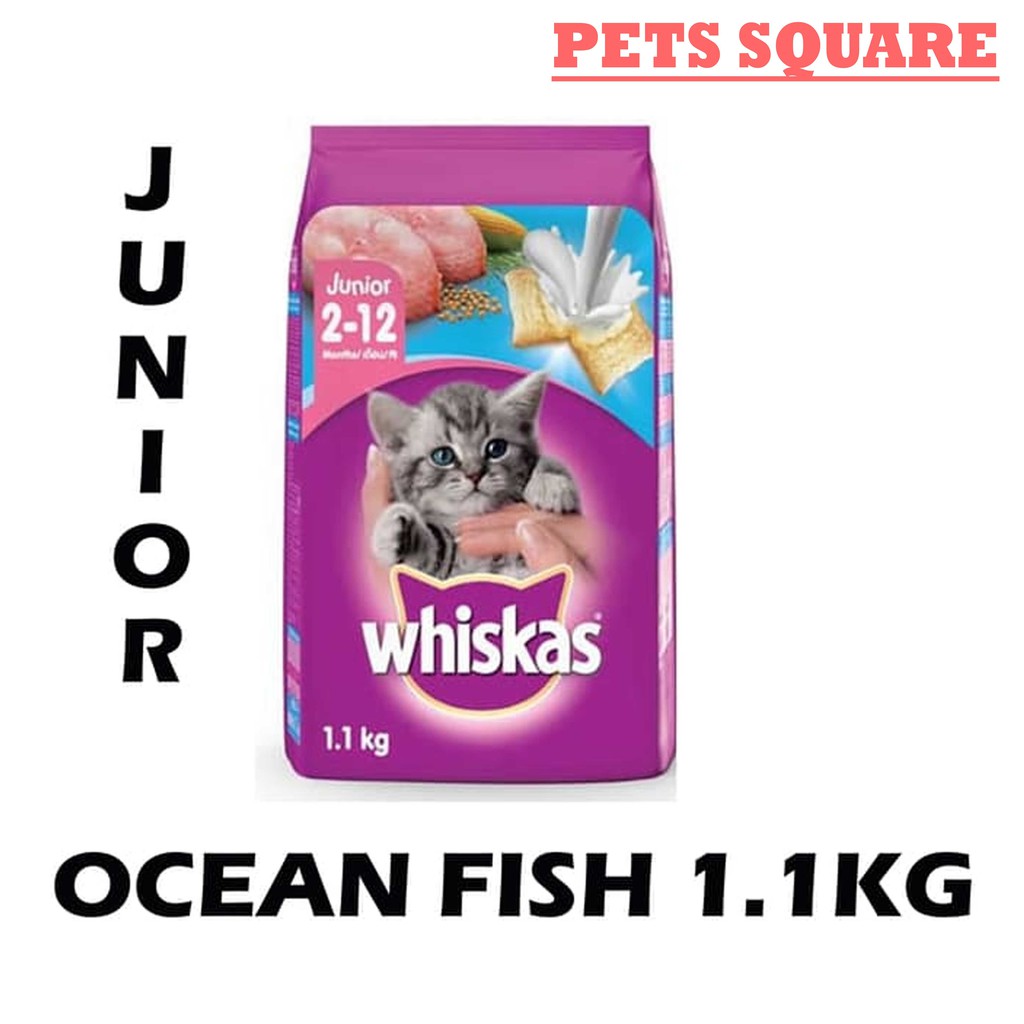 WHISKAS JUNIOR OCEAN FISH 1.1KG