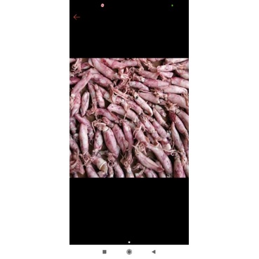 

cumi best seller