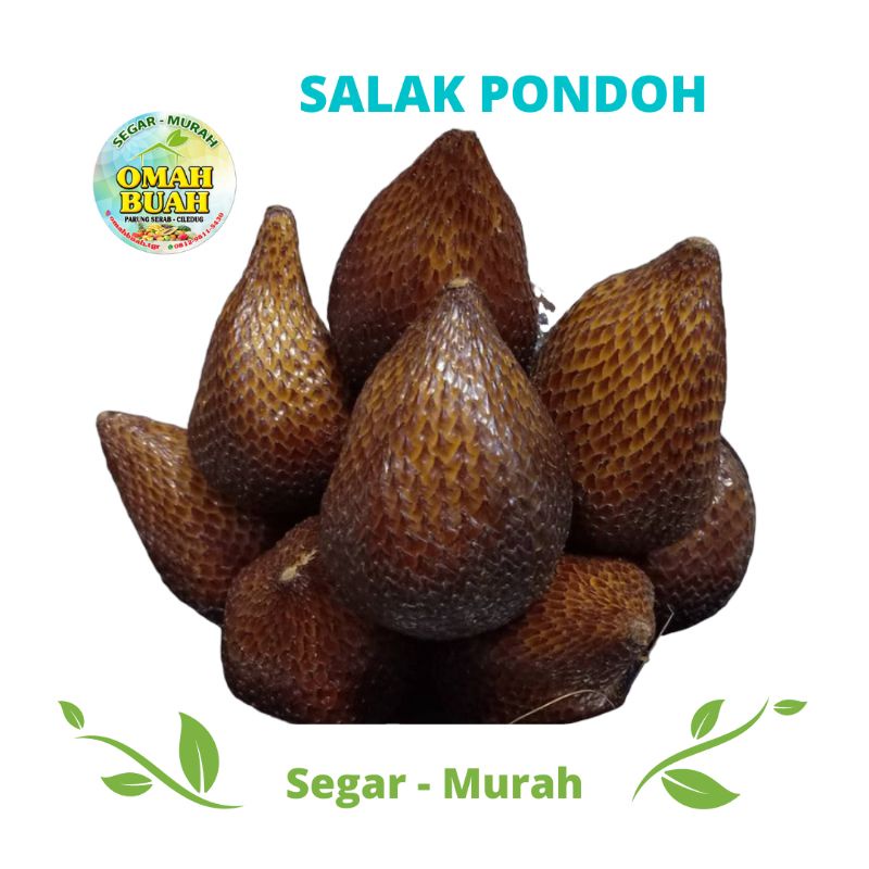 Salak Pondoh Manis Segar Fresh 500 gram - 1 Kg