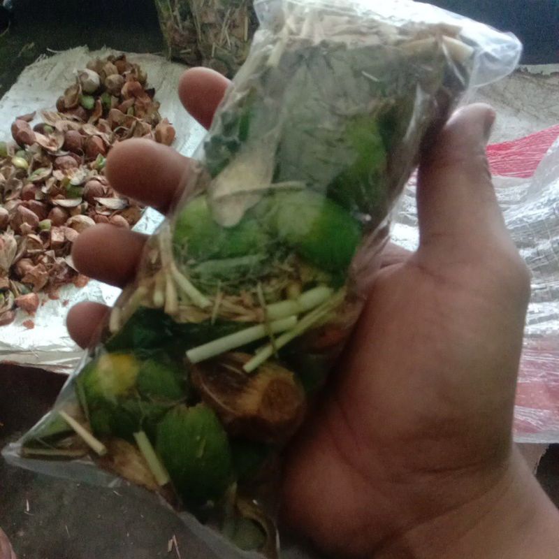 

jamu herbal alami jambe akar dan batrawali