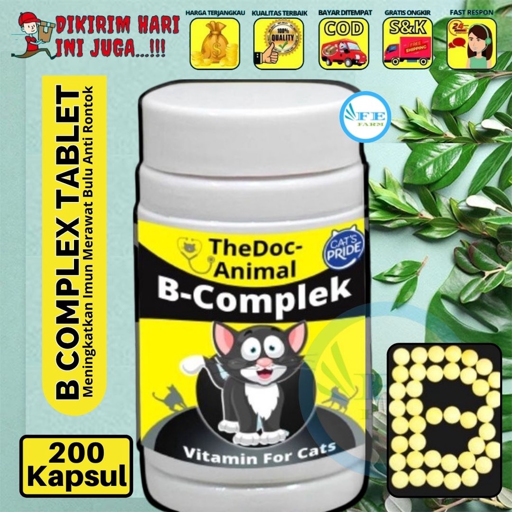 VITAMIN KUCING BECOMPLEK 200 TABLET RAID ALL Vitamin B Kompleks FEFARM