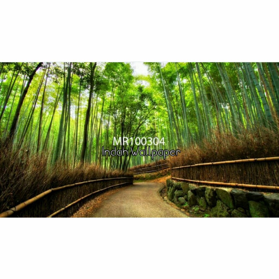 Photowall Mural 3D Wallpaper Dinding Mural Visual Hutan Pohon Bambu Hijau 3D