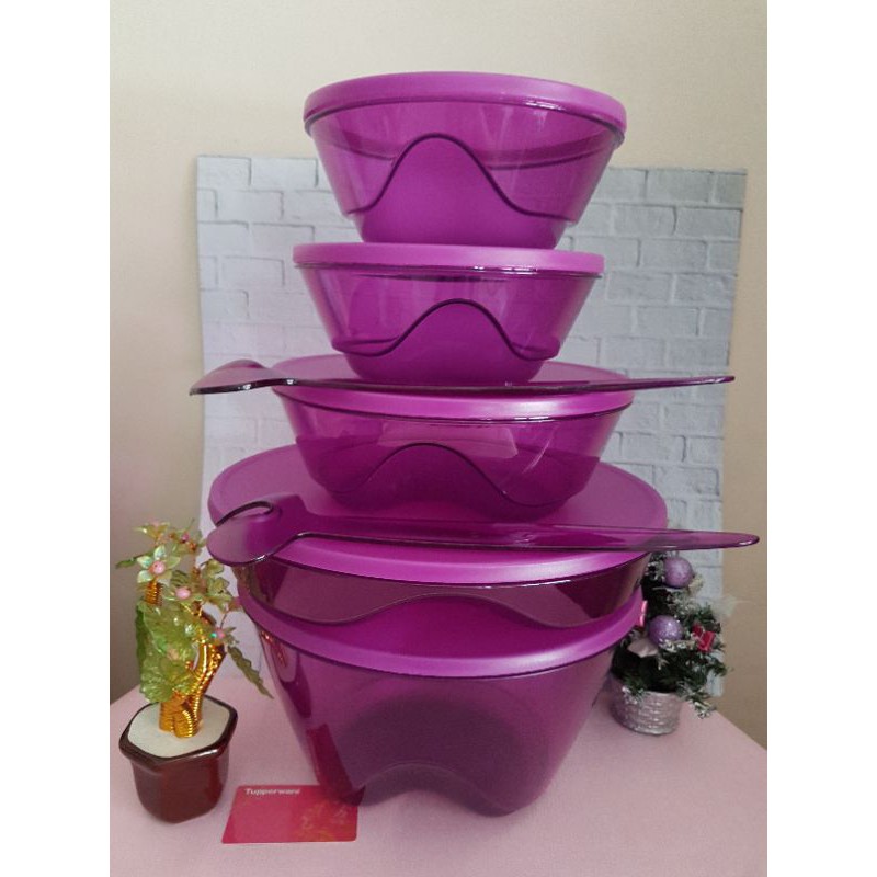 3S Bowl Set (5)- Serve-Stack-Store