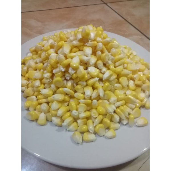 jagung manis pipil jasuke jangung simadu