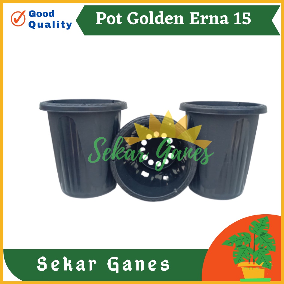 Sekarganes Pot GE15 Golden Erna 15 Hitam Garden Of Love Mirip Pot Yogap 10 13 15 Putih Coklat Merah Bata Bening Transparan Pot Yogap 17 18 19 Pot Yogap Murah Pot Bunga Tinggi Pirus Tegak Bagus Tebal