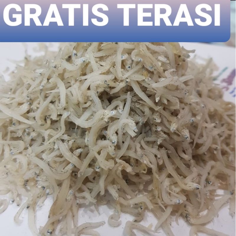 

TERI MEDAN ASLI (TAWAR