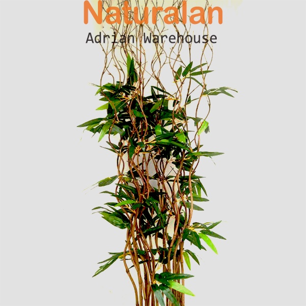 Stik Bambu Ulir / Stick Bambu Ulir Dekorasi bunga kering Ranting cabang bambu ulir