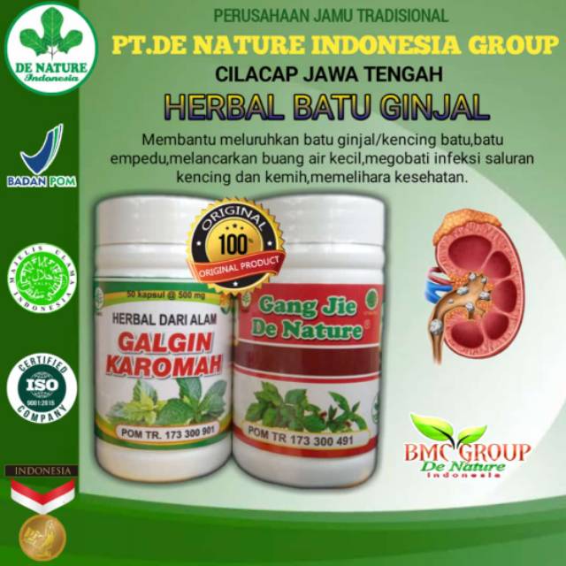 Obat Batu Ginjal / obat batu empedu / obat kencing batu