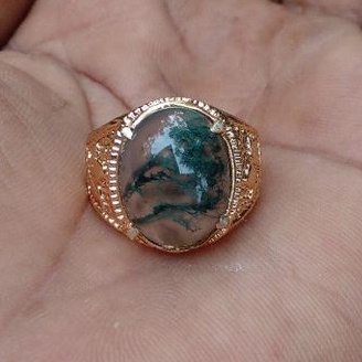 lumut kristal suliki