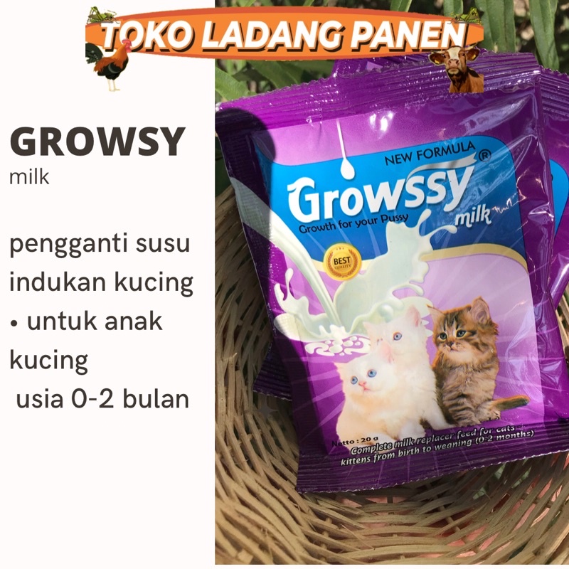 Growssy Susu kucing, susu anak kucing