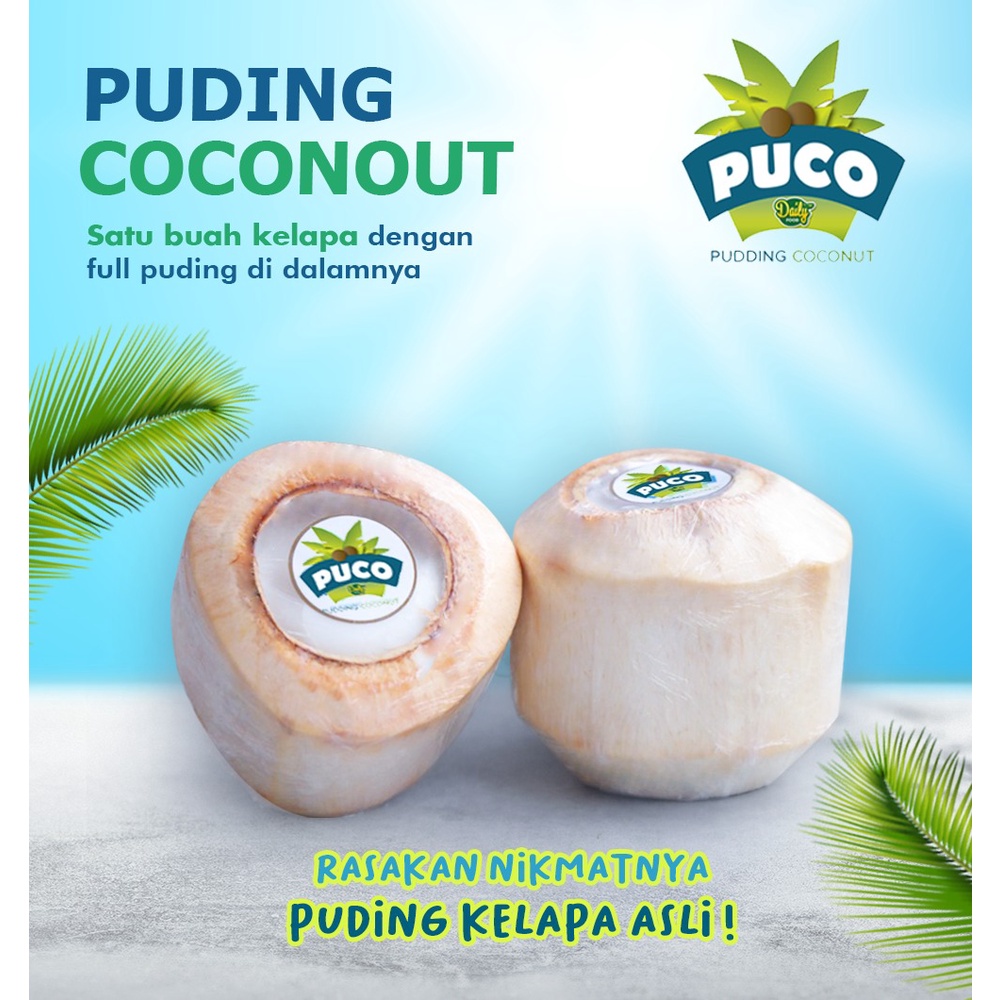 PUDING KELAPA ASLI PUCO PUDDING COCONUT DAILY FOOD