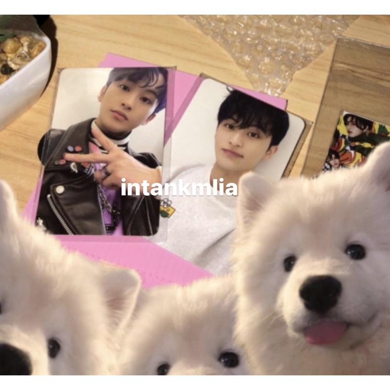 PC MARK CRAZY + MARK CAFE PHOTOCARD MARK LEE NCT DREAM