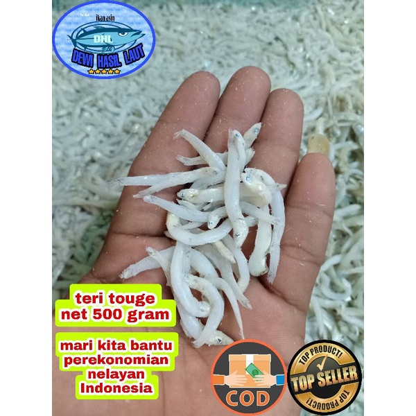 

Ikan asin teri touge 500 gram
