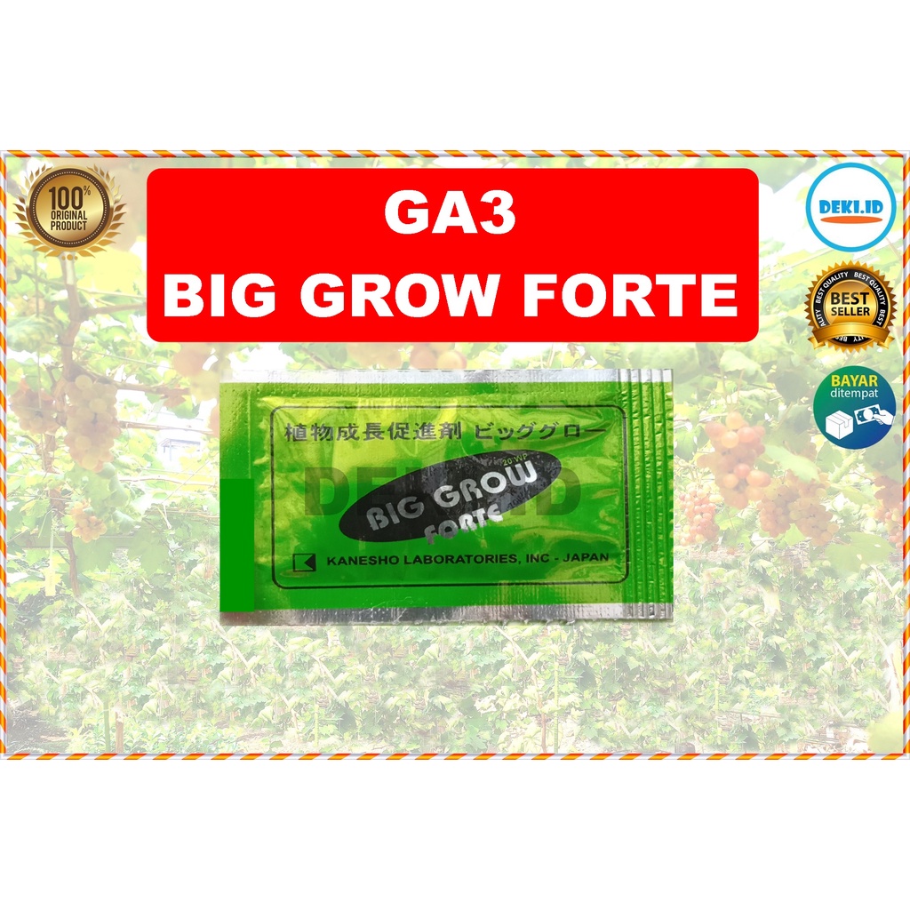 GA3 Big Grow Forte Sachet Hormon Giberelin Acid Biggrow Asam Giberelat ZPT Zat Pengatur Tumbuh Tanam