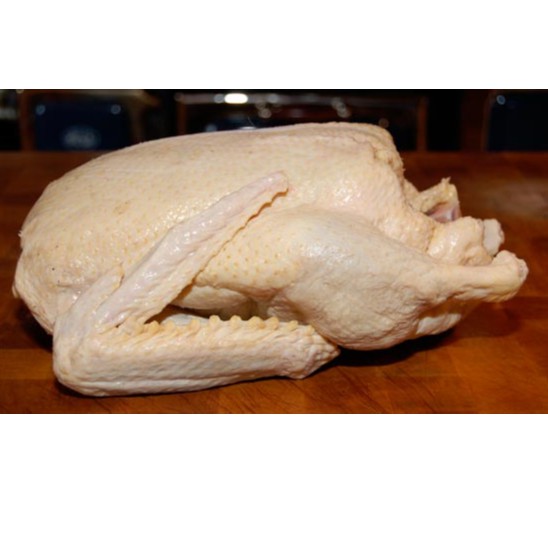 

Bebek Karkas Siap Masak