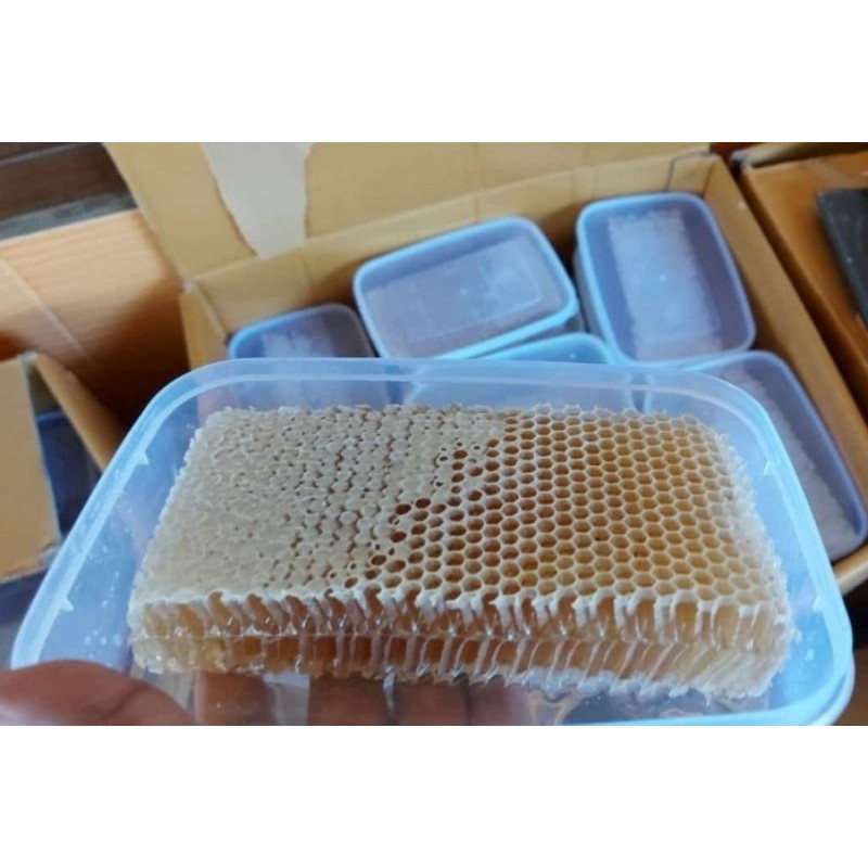 

Madu sarang 100% Murni (Lebah Apis cerana dan mellifera)